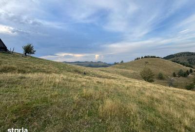 Teren de 14526 mp, în Gura Râului - 2