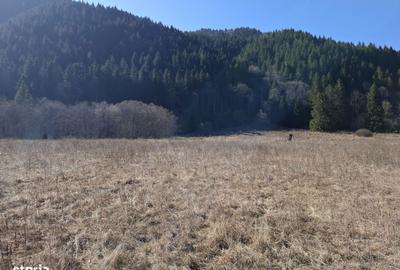 Spațiu comercial, în Brateș - 7