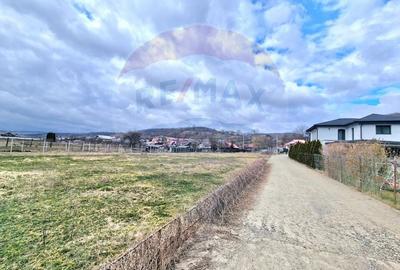 Teren Construcții intravilan de 2286 mp, în Vest - 8