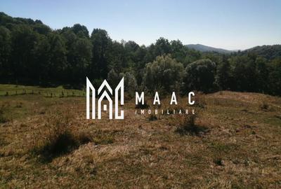 Teren agricol extravilan de 20000 mp, în Stoenești - 4