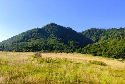 250 Ha TEREN PADURE pe VALEA OLTULUI, in Balota- Racovita, jud. Valcea, acces DE - 15