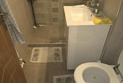 Vand apartament cu 2 camere cu intrari separate in Deva, zona Bld. Dacia, etaj 5, mobilat, utilat - 8