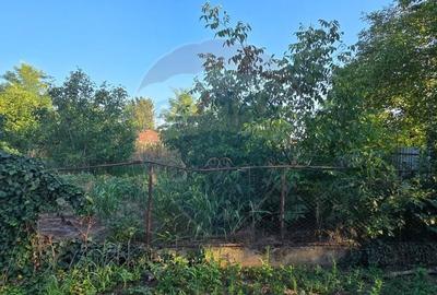 Casa de vanzare in Graniceri aproape de Arad - 9