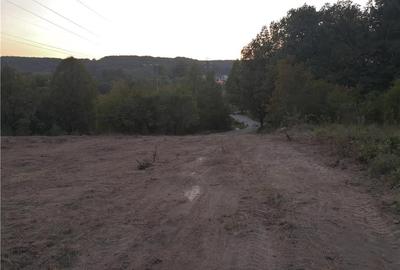 Teren de 6446 mp, în Smeura - 6