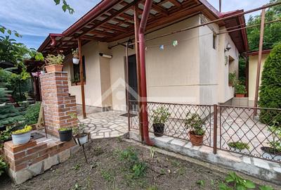 Casă individuală cu 3 camere cu Canalizare în Câmpia Turzii - 12