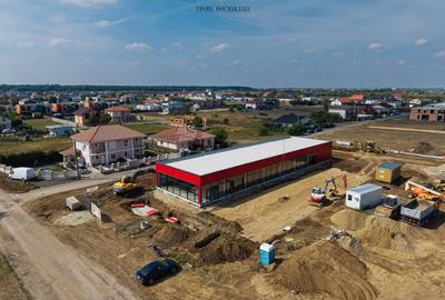 Spatii comerciale de inchiriat in noua Galerie Senso Lake - Dumbravita - 14