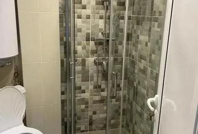 Apartament 2 camere de inchiriat in zona Liviu Rebreanu - 3