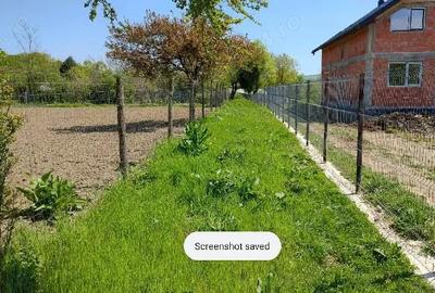 Teren de 3050 mp, în Plopu - 3