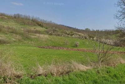 Teren de 5272 mp, în General Berthelot - 1