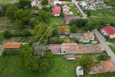 Teren intravilan cu PUZ si Certificat de Urbanism - 4