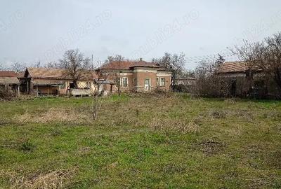 Casă cu 9 camere cu Teren 3100 Mp în Segarcea-Deal - 6