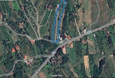 Teren de 3840 mp, în Orașu Nou - 5