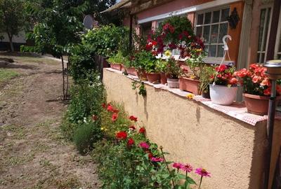 Casă cu 3 camere în Chegea - 2