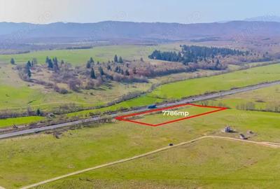 Teren de 7786 mp, în Vlădeni - 7