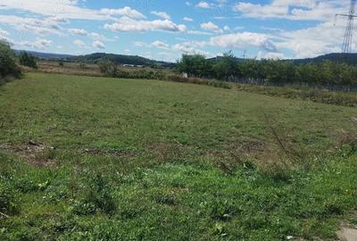 Teren de 2500 mp, în Măgura - 1