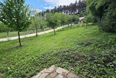 Vila noua-Sanpetru Dealul Lempes, zona verde si linistita Vila noua-Sanpetru Dealul Lempes, zona verde si linistita - 23