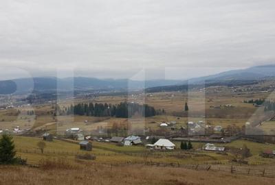 Teren de 50000 mp, în Central