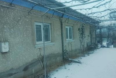 Casă în Breasta - 4