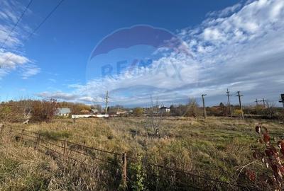 Teren Construcții intravilan de 3100 mp, în Nord