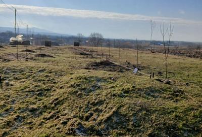 Spațiu comercial, în Răchita - 7