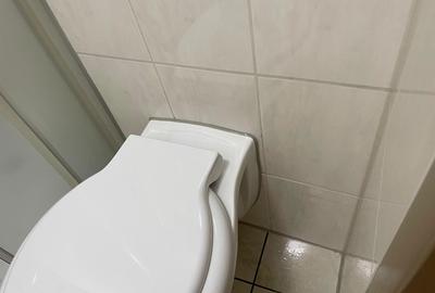 Garsonieră nedecomandată în Aurel Vlaicu - 1