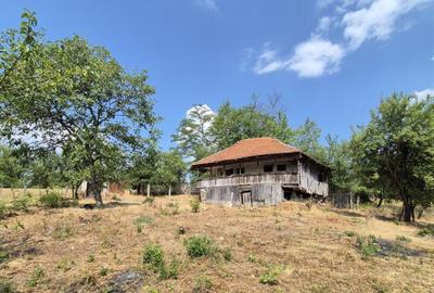 Proprietate in apropiere de complex turistic Mu?ete?ti - 1