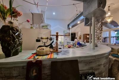 Casa 5 cam., 300 mp, crama, gradina, iaz, aer curat, liniste,  cartier Gruia - 8