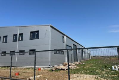 Spatiu depozitare si productie Chitila - 3