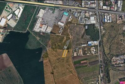 Vanzare teren Domnesti - Centura, ILFOV - 3