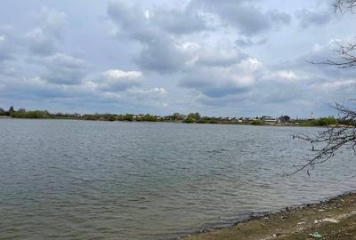 Teren Excepțional cu Deschidere la Lac - Samurcași, Buftea - 4
