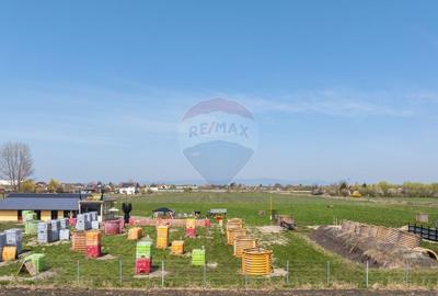 Teren Construcții intravilan de 13300 mp, în Bartolomeu - 8