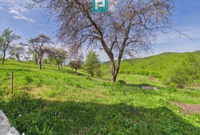 Casă cu 3 camere cu Teren 2000 Mp în Central - 14