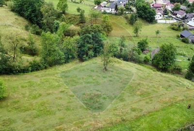 Teren 6,865mp Vorone? / Gura Humorului / Bucovina - 35