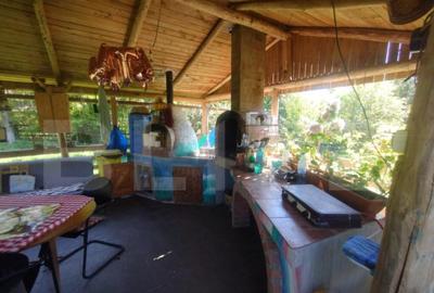 Teren extravilan 73 ari + cabana+lac de pesti,zona Slatinita - 10