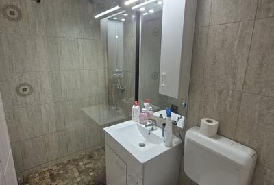 Apartament cu 2 camere decomandat în Baba Novac - 7