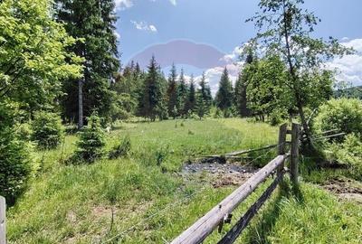 Teren 19,370mp Neagra Sarului / Strada ?estina - 13