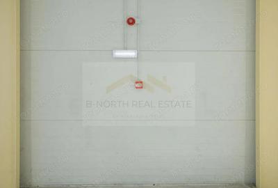 Hala industriala 2.000 mp Depozitare / Produc?ie Rampe incarcare Otopeni - 3