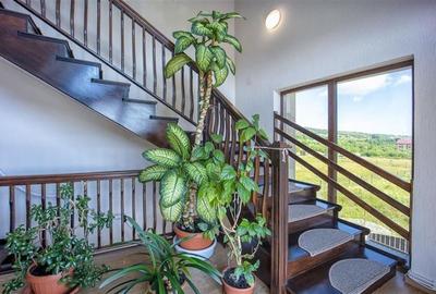 Select complex, + 1.000 mp teren, Bran, Brasov - 7