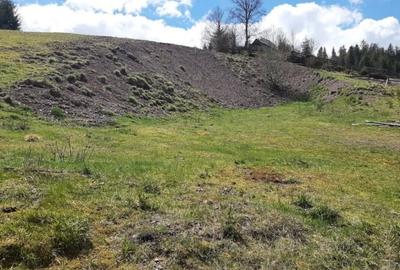 Teren Construcții intravilan de 12500 mp, în Galbena - 12