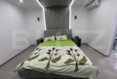 Garsoniera Proaspat renovata Brazda lui Novac - 2