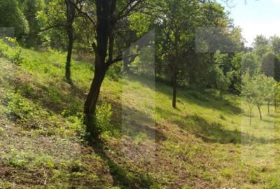 Teren în Micești - 2