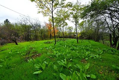 LILIECI vanzare teren de COLT 682mp Str Dealului nr.1 Balta Lilieci Ialomita - 9