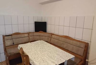 Apartament cu 3 camere decomandat în Nufărul - 8