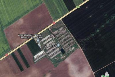 Teren intravilan constructii 4ha cu deschidere la drum european Teren intravilan constructii 4ha cu deschidere la drum european - 4