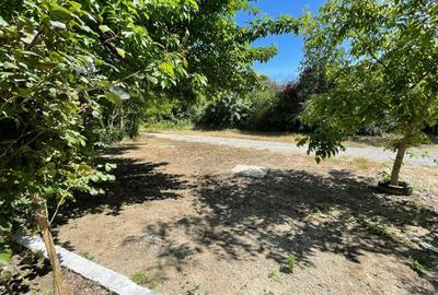 Casă cu 4 camere cu Teren 300 Mp în Nord - 3