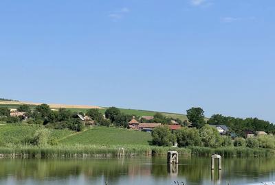 Spațiu comercial, în Aeroport