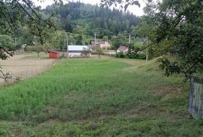 Teren de 3144 mp, în Hangu - 2