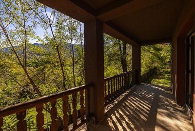 FILM! Proprietate notabila, ocazie personalizare, in transcendentalul Bran, Bras - 19