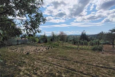 RECO teren intravilan in Saliste de Beius - 2