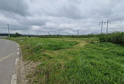 AZURA Imobiliare - Teren Stefanesti LIDL (Fitotron-Zavoi) - 4
